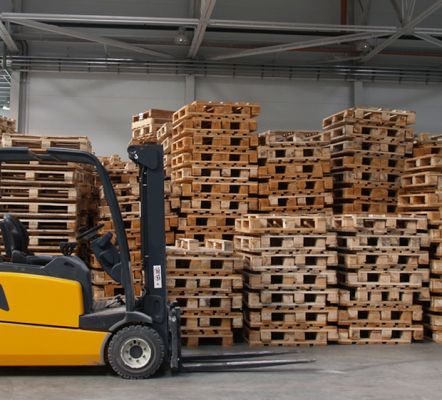 Fornitura di Pallets standard e fuori misura